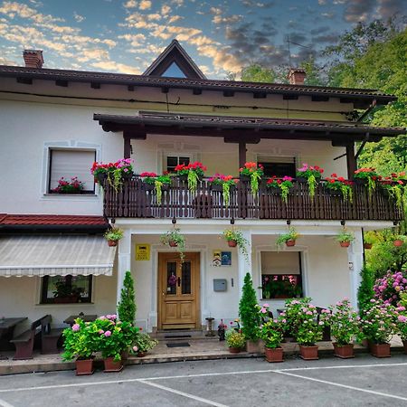 Domacija Bubec Vila Ilirska Bistrica Exterior foto