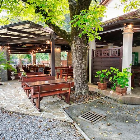 Domacija Bubec Vila Ilirska Bistrica Exterior foto