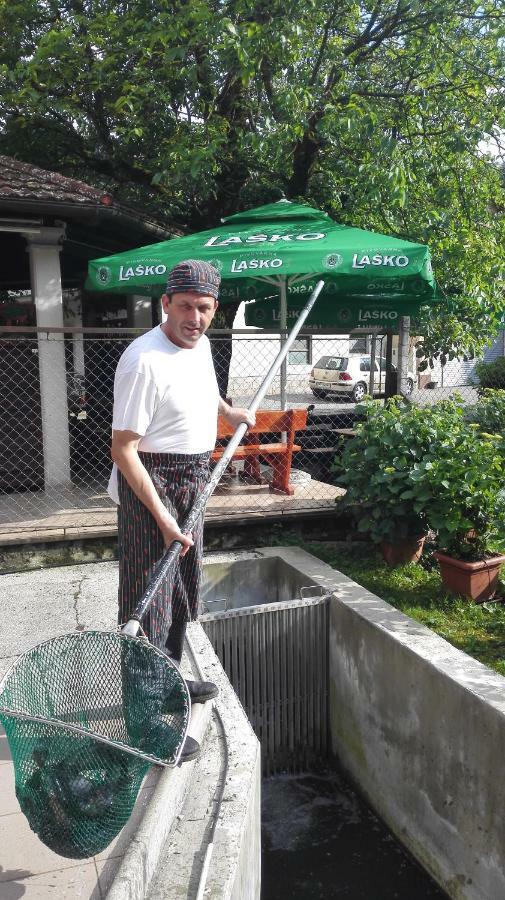 Domacija Bubec Vila Ilirska Bistrica Exterior foto