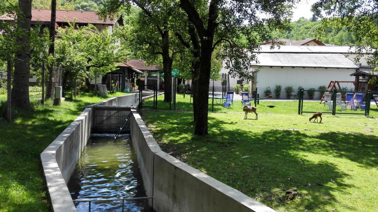 Domacija Bubec Vila Ilirska Bistrica Exterior foto